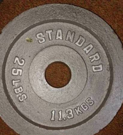 weights 25 lbs plates (pair) 1