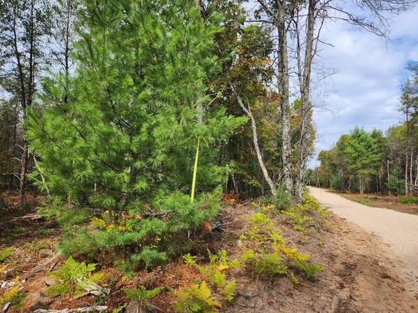 $25,900 Just under 5 Acres of land to fit your Summer dreams! (Baldwin)64308162712193121