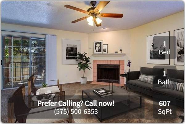 $1,010 / 1br - 607ft2 - Amazing 1 bed / 1 bath close to college campus! Check us out! (Las Cruces - Near NMSU)63867373942403120