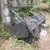 Bobcat 61" Drum Mulcher 2 thumbnail