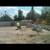 CONCRETE---PAVERS——TURF 9 thumbnail