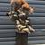 Life size warthog taxidermy 5 thumbnail