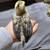 Serama bantam chickens 4 months 8 thumbnail