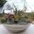 LARGE GLASS TERRARIUM 3 thumbnail