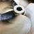 NEW 20” (508mm) x 16.4 (415mm) MATCHING SET of bronze boat propellers! 2 thumbnail