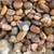 We Save YOU Money Everyday on Decorative Landscaping Rock 6 thumbnail