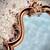 Wall Mirror Vintage/ Hollywood Regency Gilt / Gold frame rococo, baroque 3 thumbnail