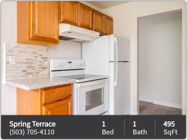 $1,320 / 1br - 495ft2 - Elegance in every detail: Dive into our 1 BR, 1 BA. (Portland)63956499641730121