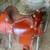 Tex tan saddle 1 thumbnail