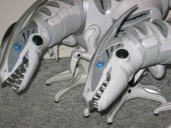 WowWee Robot Dinosaurs - $20 (Marysville)63471418862849121