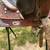 crates show saddle 6 thumbnail