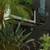 Fenced Lot, Air Conditioning, Ceiling Fans, Gated 4 thumbnail