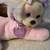 Plush Puppy Surprise with 3 puppies - Vintage - 1991 4 thumbnail