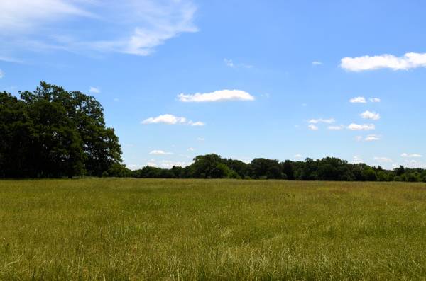 $995,000 FOR SALE: 0 CR 2854!! (Eustace)64037559624451122