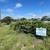 🌟 1-Acre Corner Lot in La Vernia – Now Offering Seller Financing! 🌟 2 thumbnail