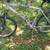 Marin 7005 butted aluminum mtn bike 1 thumbnail