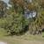 Lot for Sale in Port Charlotte! 2 thumbnail