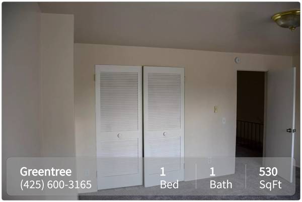 $1,725 / 1br - 530ft2 - ¡Vistas increíbles y vida serena pueden ser tuyas! 1 dormitorio, 1 baño, 530 pies cuadrados (Seattle)63808083673219121