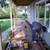 Painting-Doors-Power Washing-Plumbing-Handyman-General Carpentry 18 thumbnail