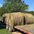 HAY - Horse quality round bales for sale 2 thumbnail