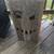 Wooden Halloween decoration boxes 1 thumbnail