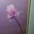 Framed & Matted Vintage Floral Art Print CHEAP! 1 thumbnail