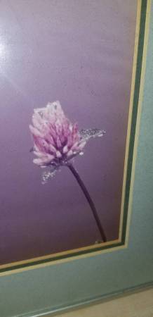Framed & Matted Vintage Floral Art Print CHEAP! 1