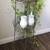 Plant Stand 3 thumbnail