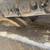 2011 CAT D8T CRAWLER DOZER 5900HRS SU BLADE MS RIPPER TIER 4 INTERIM 6 thumbnail