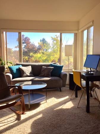 $1,545 / 1br - 500ft2 - Tanglewood 1 Bedroom (Capitol Hill)64031135450499123