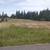 5 Acres with Irrigation 8 thumbnail