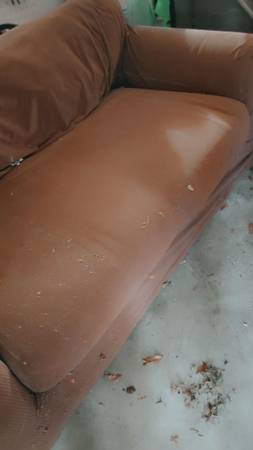 Leather couch 1