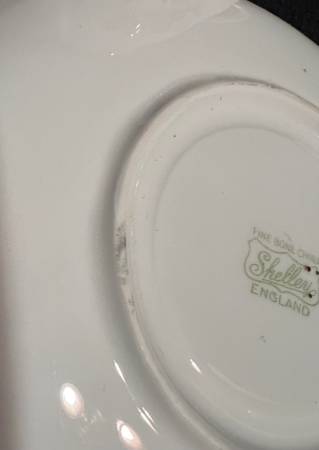Vintage Shelley Bone China Dainty Rose & Red Daisy Cup & Saucer - $15 (Downtown Vancouver)63471263696515123