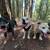 Professional Dog Walker, Private and Group Walks - Oakland 2 thumbnail