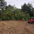 Land Clearing/Forestry Mulching🌳🌳Full or Half Day Rates! 20 thumbnail