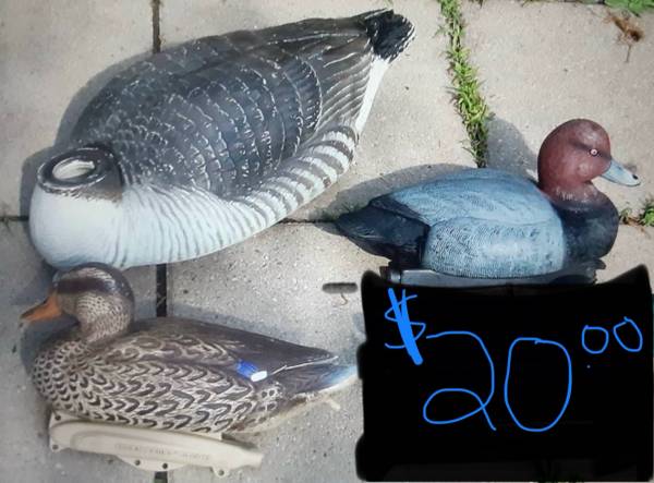 DECOYS Hunting Ducks (read posting & see photos) 1