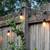 PATIO LIGHTS, 15 BULBS, 50' LONG 2 thumbnail