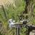 Drum Stand Vintage 70s Ludwig Tom Holder 3 thumbnail