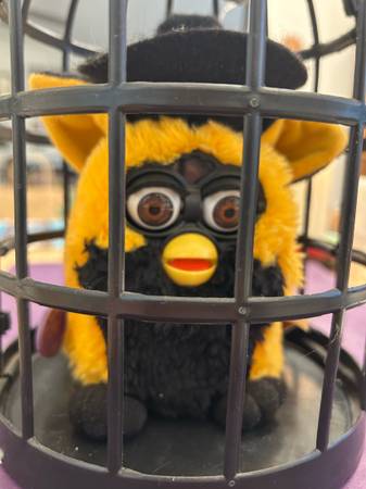 Autumn Furby - Special Edition - 1999 Witch - $200 (Los Angeles)63471469760001121