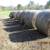 Net wrapped rolled hay 5 thumbnail