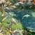 Variety of Beautiful Koi Fish 10 thumbnail