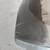 11-13 Porsche Panamera Rear Bumper OEM 970 5 thumbnail