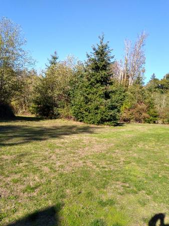 $1 RV Site, tranquilo, terreno privado, conexiones completas, intercambiar por mantenimiento de jardines o alquilarlo (Camano/Stanwood)64141607866370122