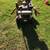 Craftsman snowblower 5 thumbnail
