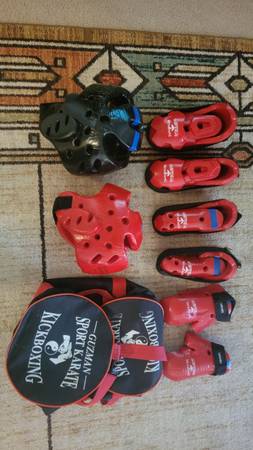 Martial Arts Sparring Gear 1