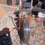 Antique Schwinn exercise bike 2 thumbnail
