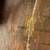 Antique Sofa Table 5 thumbnail