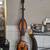 Palatino baby bass 8 thumbnail