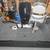Crestliner 1650 Fish Hawk Platinum Edition 15 thumbnail