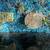 70 gallon TRUVU Planted Acrylic Fish Tank Aquarium @ Real Wood Stand 2 thumbnail
